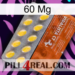 60 Mg 42